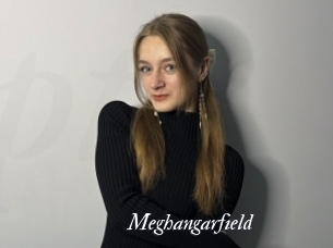 Meghangarfield