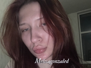 Melisagonzaled