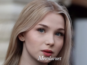 Merylarnet