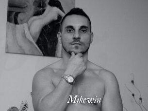 Mikewin