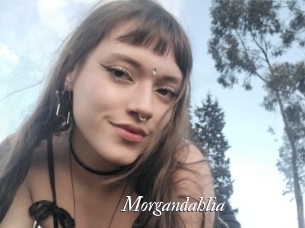 Morgandahlia