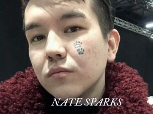 NATE_SPARKS