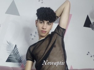 Neoraptis