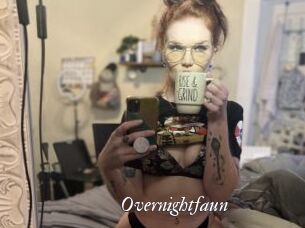 Overnightfaun