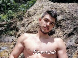 Pierre_vitale