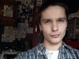 Pulseboy