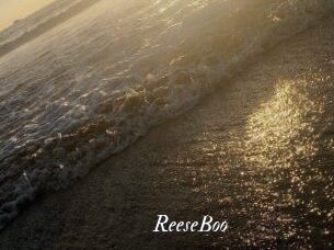 ReeseBoo