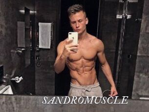 SANDRO_MUSCLE