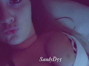 SandyD55