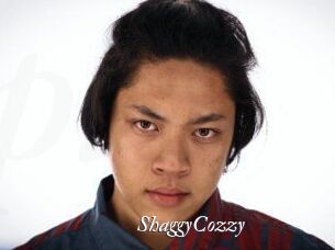 ShaggyCozzy