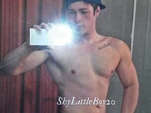 ShyLittleBoy20