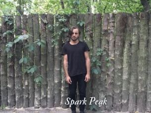 Spark_Peak