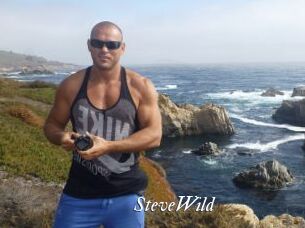 Steve_Wild