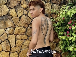 Salvatorevega