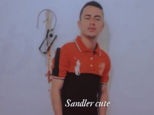 Sandler_cute