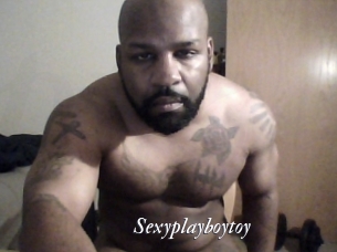 Sexyplayboytoy