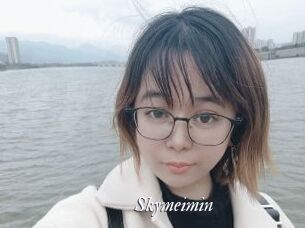 Skymeimin