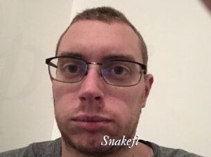 Snakefl