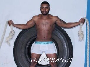 TONYBRANDT