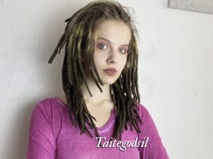 Taitegodsil