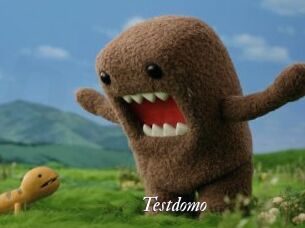 Testdomo