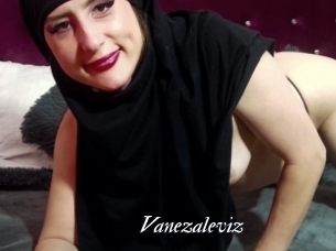 Vanezaleviz