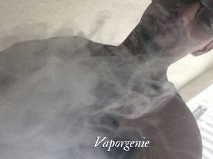 Vapor_genie