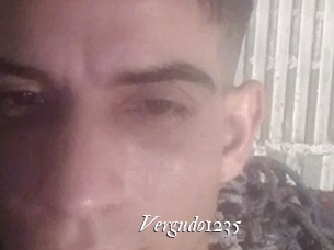Vergudo1235