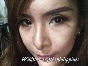 Wildflowerofthephilippines