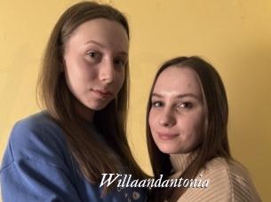 Willaandantonia