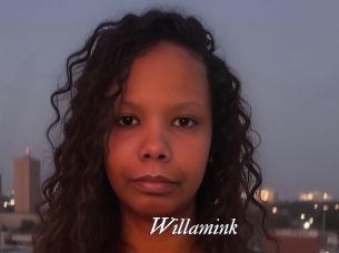 Willamink