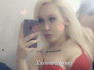 Xoxosnowbunny