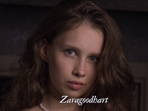 Zaragoodhart