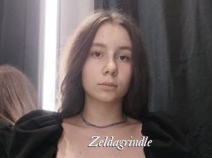 Zeldagrindle